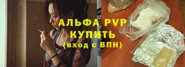 тгк Магас