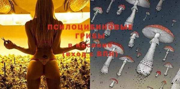 круглые Вязьма