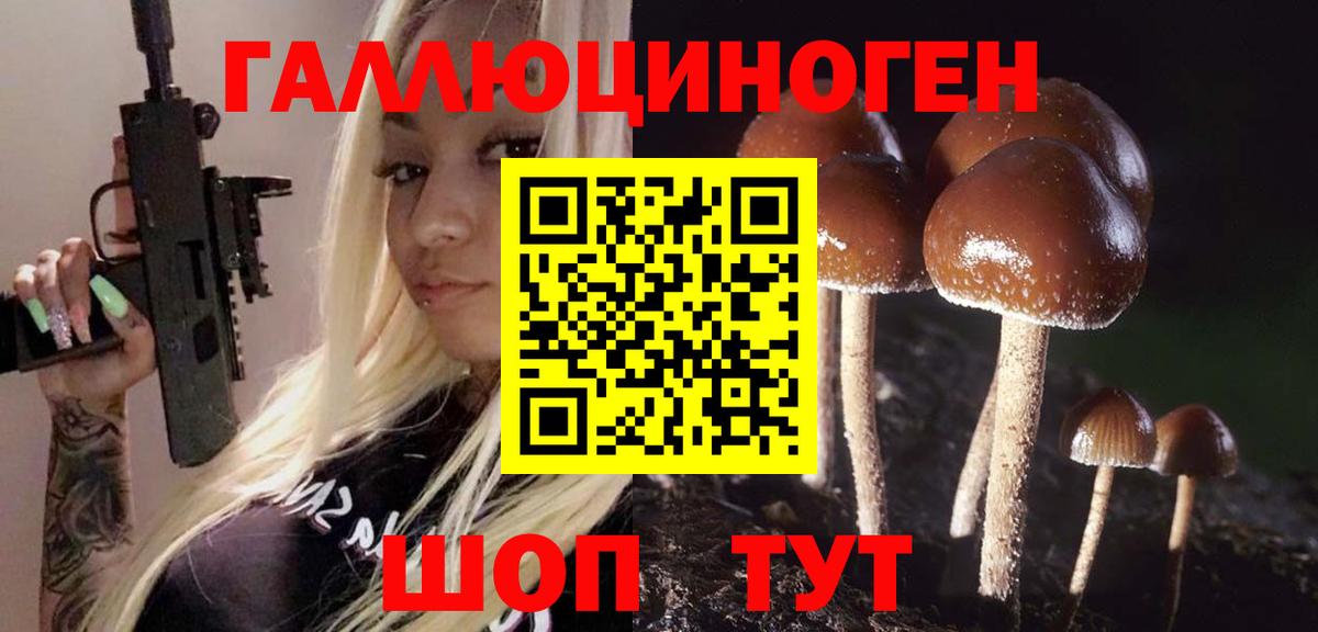 Псилоцибиновые грибы ЛСД Сочи